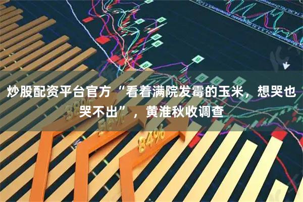 炒股配资平台官方 “看着满院发霉的玉米，想哭也哭不出” ，黄淮秋收调查